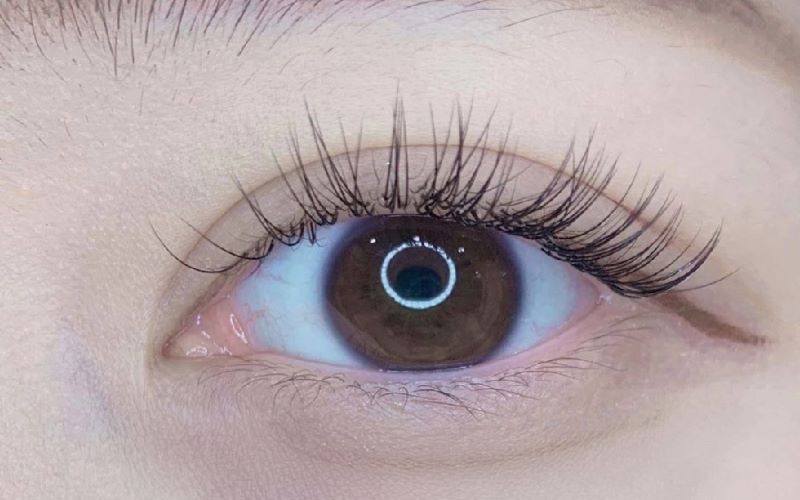 Natural Remedies to Combat Eyelash Shedding: Tried and Tested Solutions