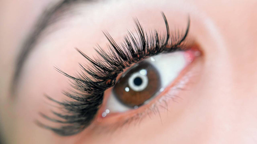 Wet, Wispy & Strip Lash Styling Course - easynicelash